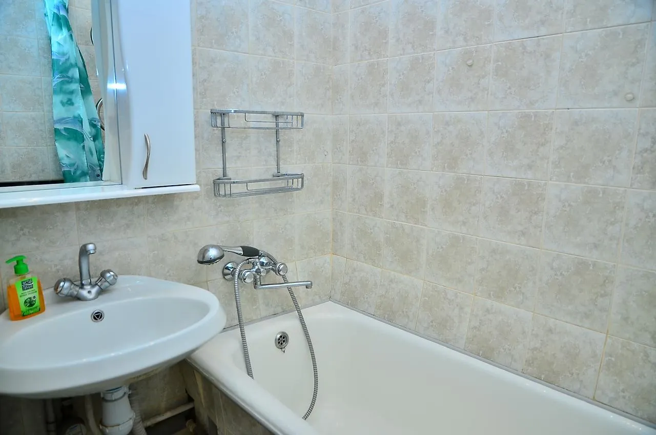 Bolshaya Vasilkovskaya 12 Apartment Kiev